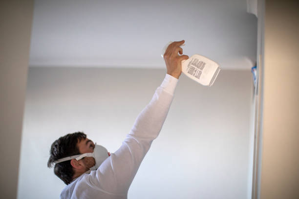 Best Mold Cleaning Services  in Lincoln Village, OH