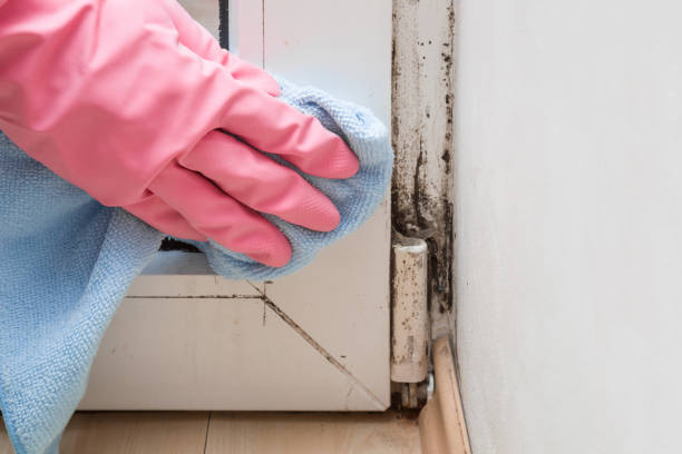 Best Crawl Space Mold Removal  in Lincoln Village, OH